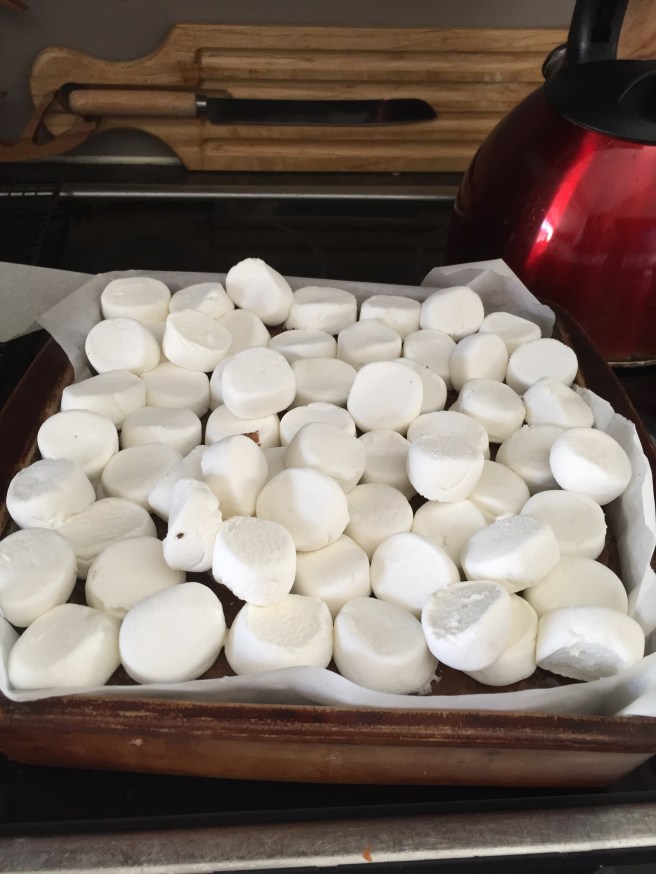 F4D3C0EE-A443-42E4-810D-A9C4A7F8F30F