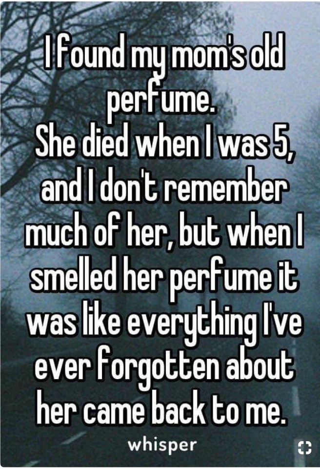 40A9FF88-9B15-4DAB-B9B1-09EAB5F9F119