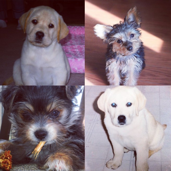 F364F66E-98C5-4975-97E8-58004CE0A219