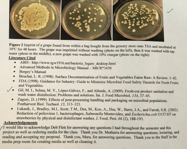 82C152BA-6880-4D6F-84E3-FD8A0C400ED1